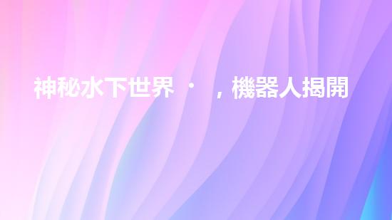 神秘水下世界，機器人揭開深海寶藏！